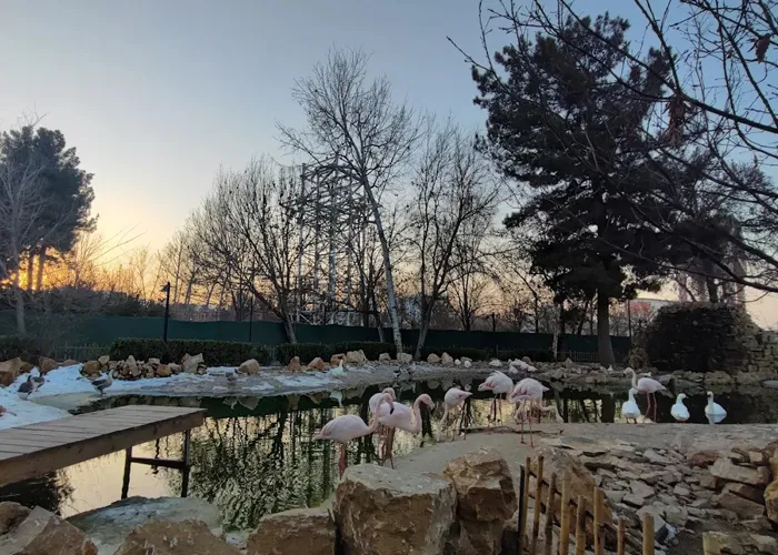باغ پرندگان باغ پرندگان